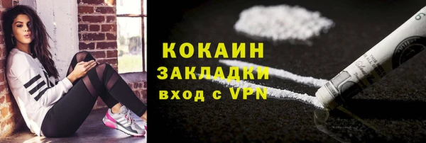 амф Вяземский