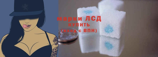 амф Вяземский