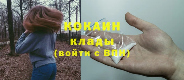 амф Вяземский