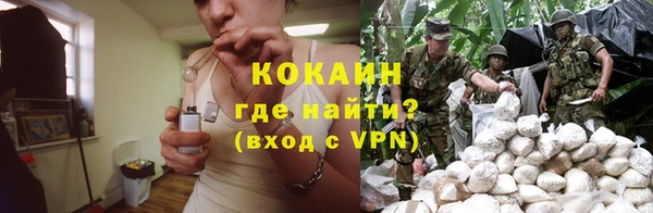 амф Вяземский