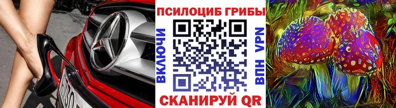 Псилоцибиновые грибы ЛСД Вязьма