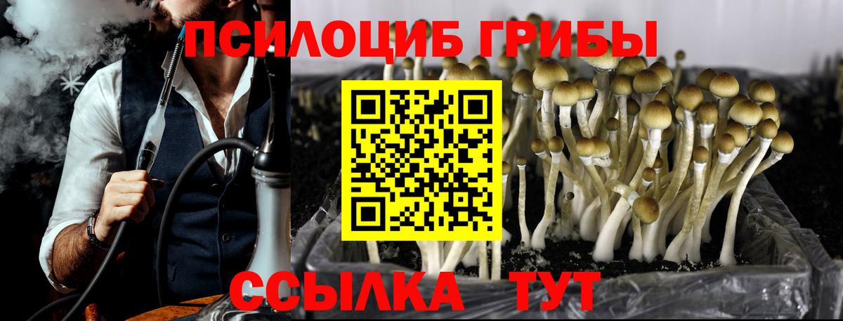 Конопля  Вязьма  Вход с VPN  МЕФ   Cocaine  Продажа наркотиков  Гашиш  Alpha PVP СК кристаллы 